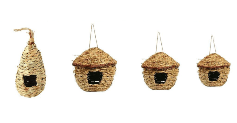 Best Bird Nest