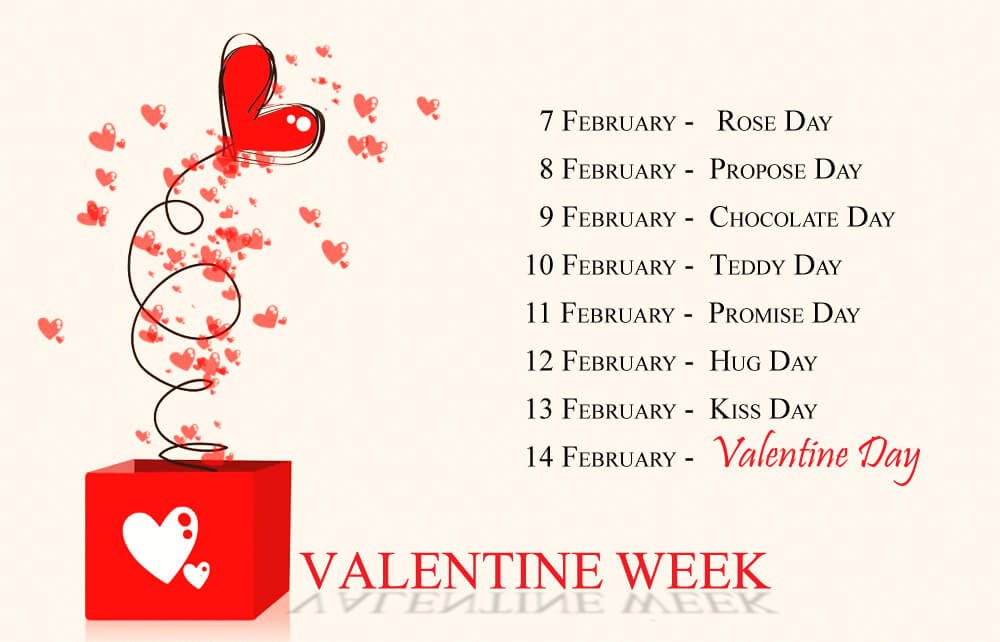 Valentine's Gift