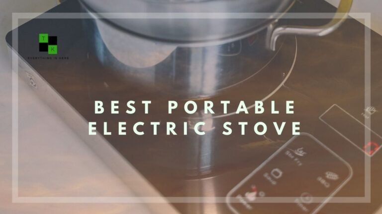 Best Portable Electric Stove