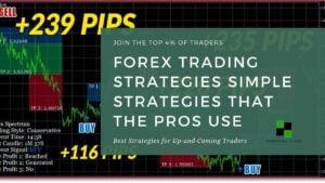 Forex Trading Strategies Simple That The Pros Use 2024