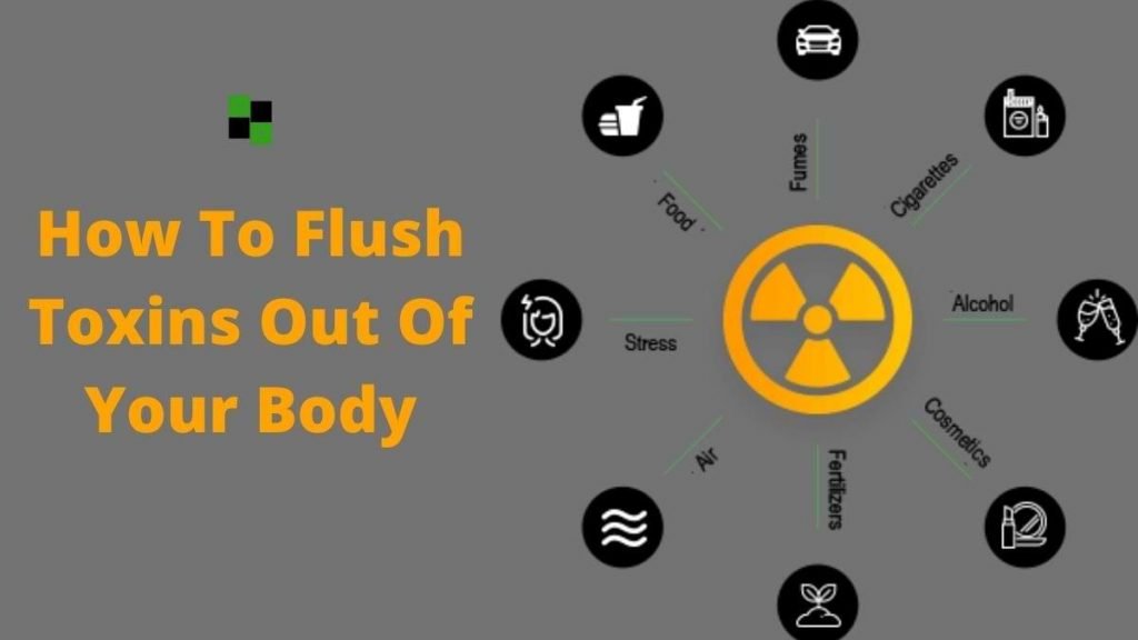 How To Flush Toxins Out Of Your Body Know The Best Way