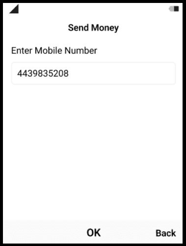 PhonePe UPI 123Pay registration process image 2