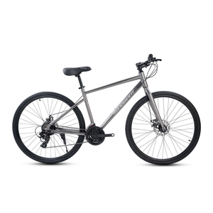 ROADGIANT BRO-Code 700C Hybrid Bicycle for men